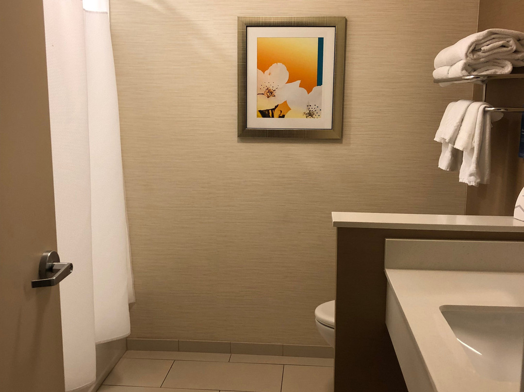 Fairfield Inn & Suites Geneva Finger Lakes主图