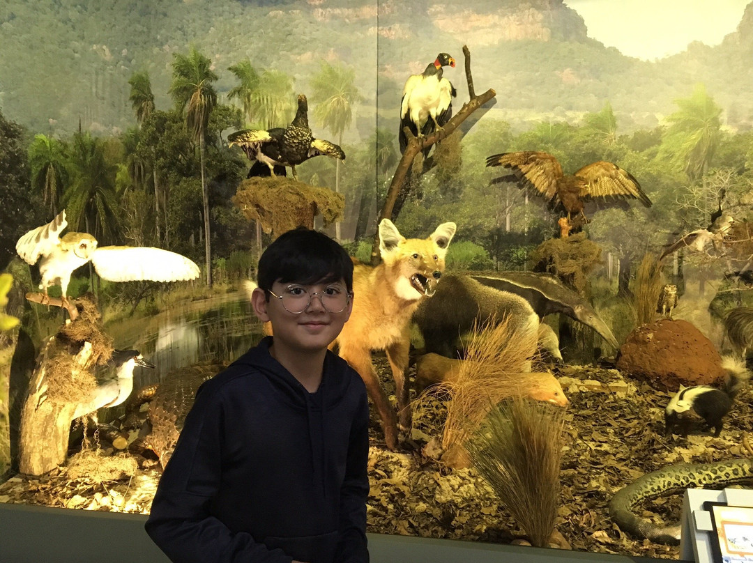 Itaipu Natureza-伊瓜苏必去景点