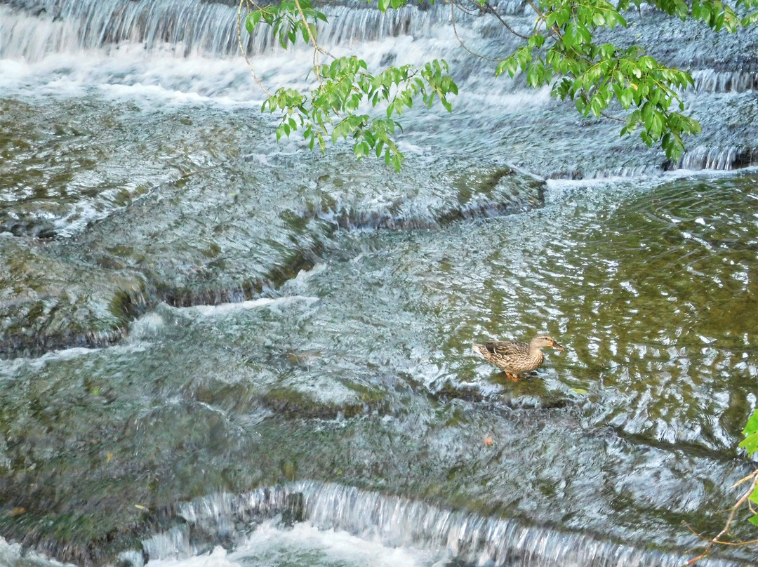 Seventy Six Falls-Albany必去景点