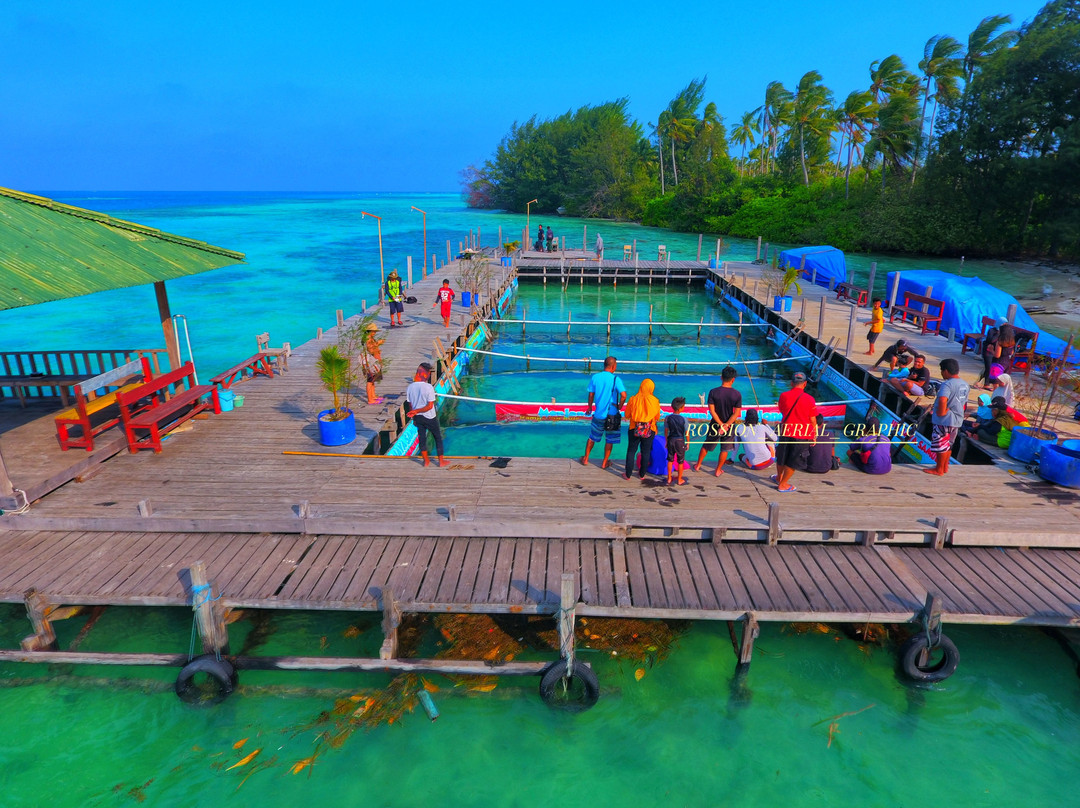 Menjangan Kecil Island景点图片