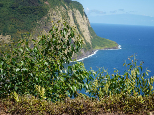 威毕欧山谷车游-霍诺卡阿必去景点