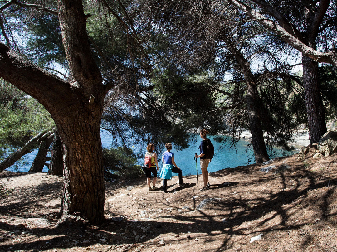 Costa Brava Walks景点图片