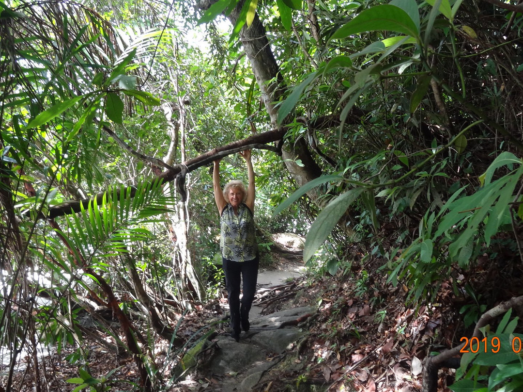 Teluk Bahang Forest Eco Park-丹容武雅必去景点
