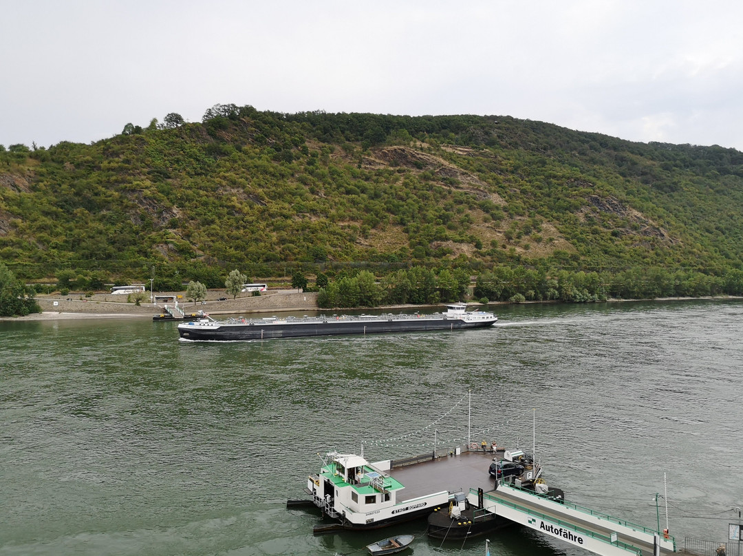 Rheinhotel Lilie主图
