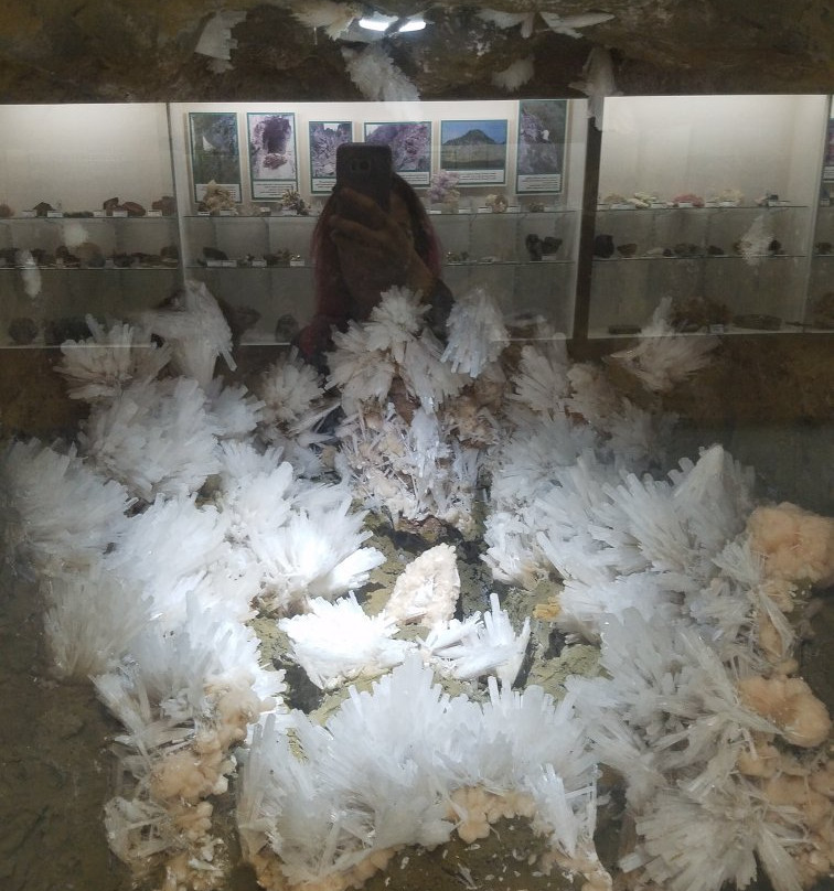 Rice NW Museum of Rocks and Minerals-希尔斯伯勒必去景点