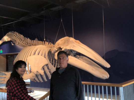 Kodiak National Wildlife Refuge Visitor Center-Kodiak必去景点