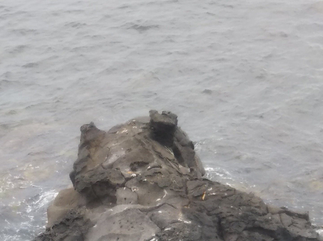 Neguma no Iwa-利尻町必去景点