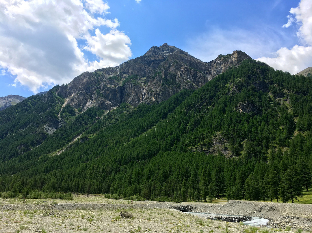 Parco Naturale Val Troncea景点图片