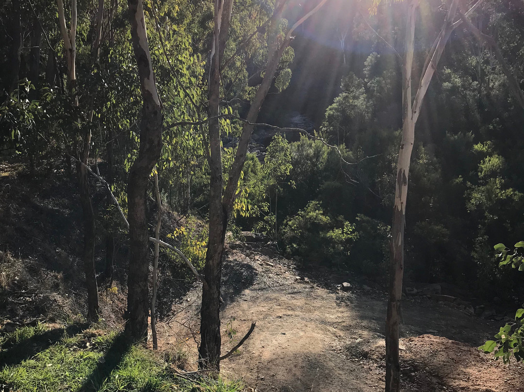 Quarry Reserve-Briagolong必去景点