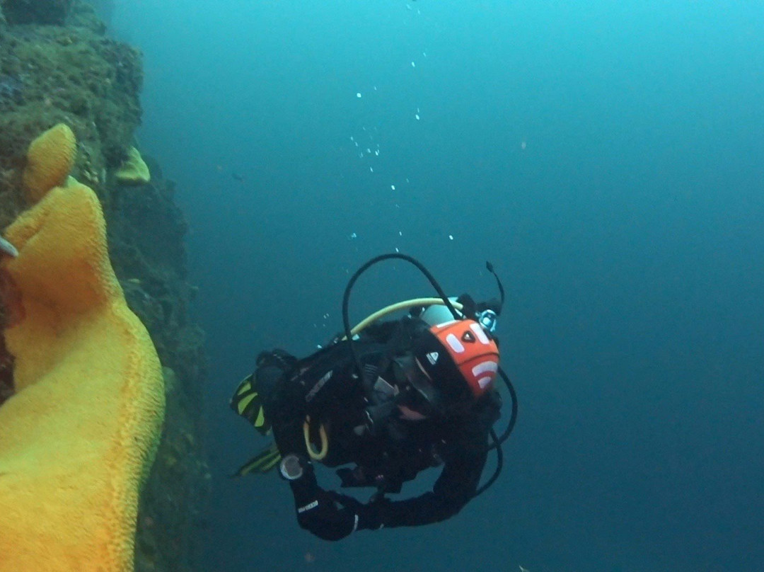 Scuba Adventure-Los Molles必去景点