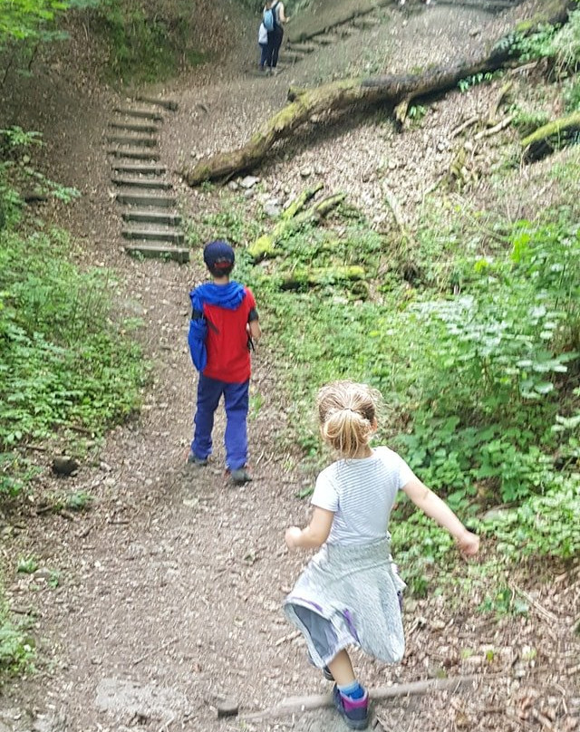 Wren's Nest National Nature Reserve