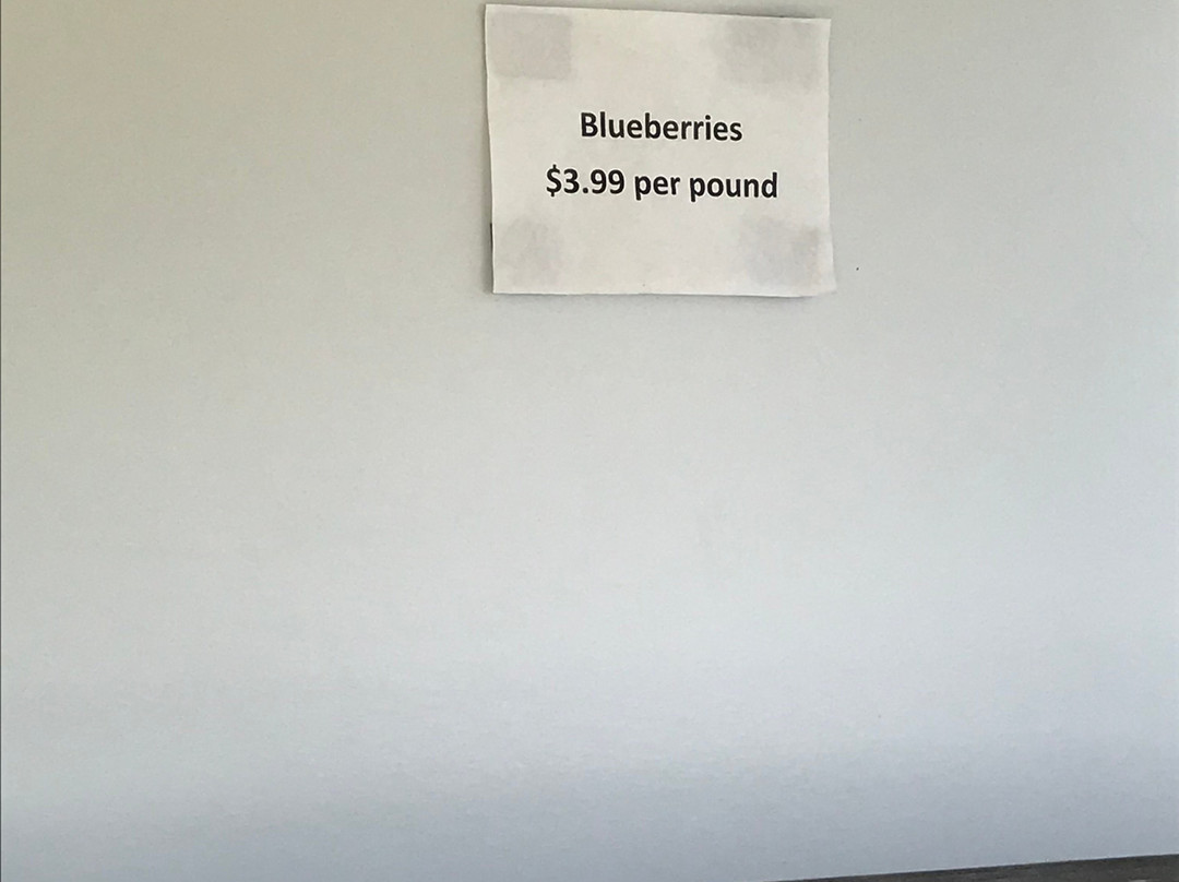 Walnut Springs Farm-埃尔克顿必去景点