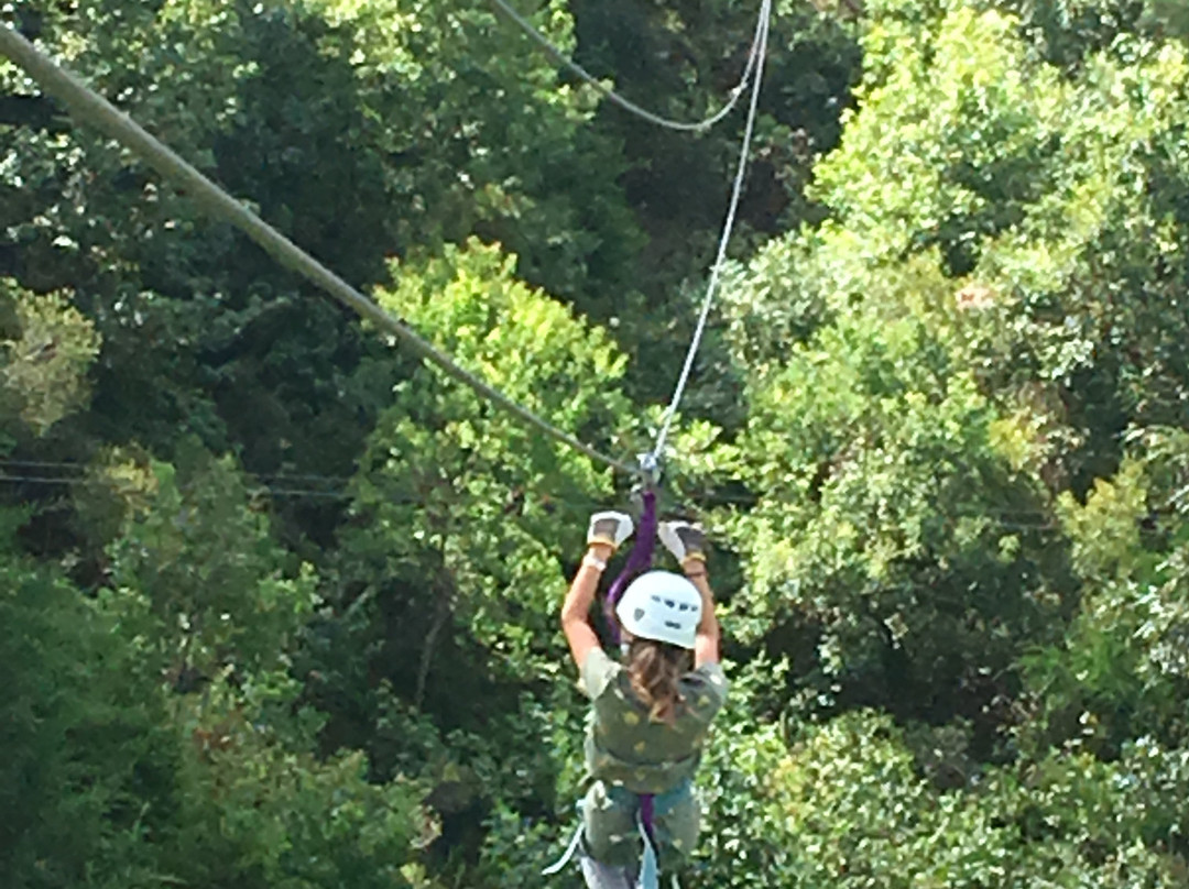 Adrenaline Rush Zip Line Tours-Jacksonville必去景点