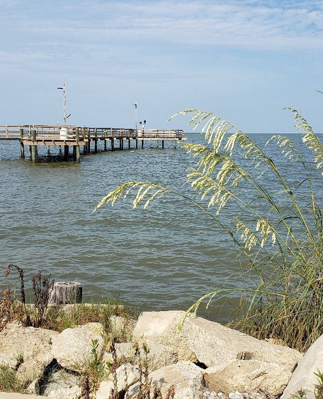 Cedar Point Pier-Coden必去景点