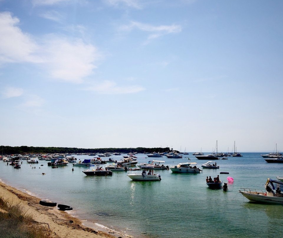 Isole Cheradi - Isola San Pietro e San Paolo景点图片