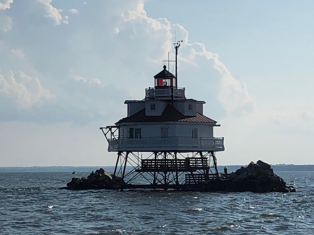 Chesapeake Lights Lighthouse Tours景点图片