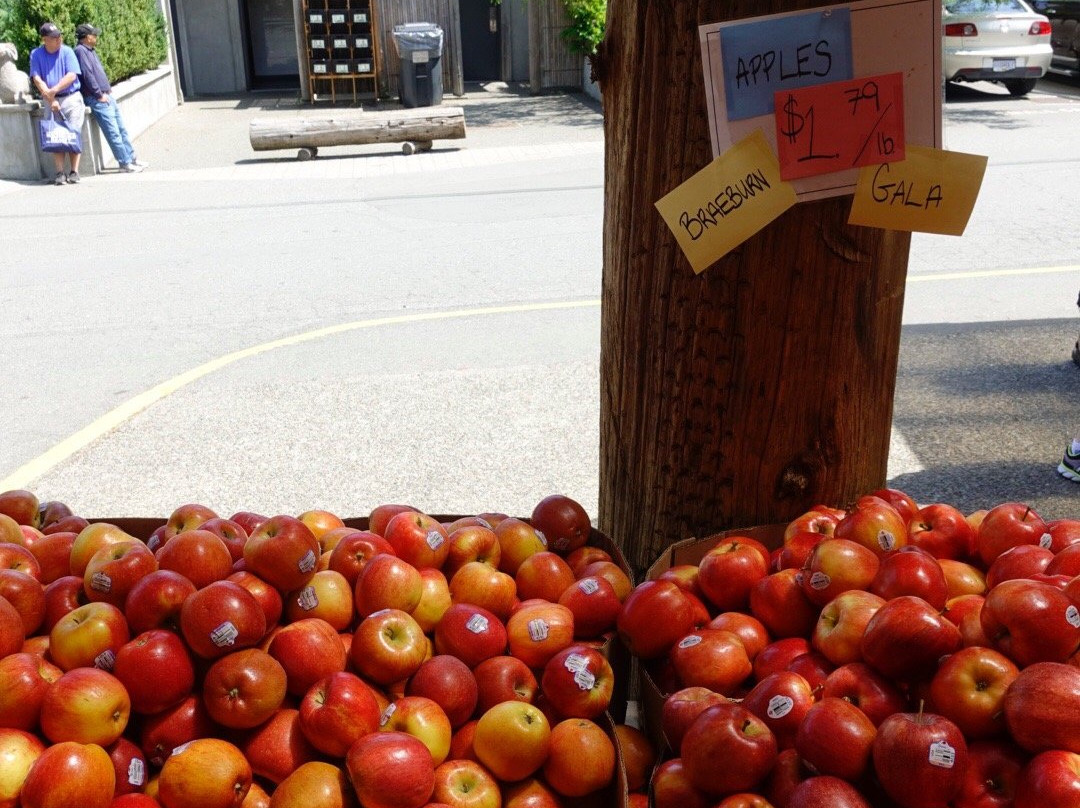 Qualicum Beach Farmer's Market景点图片