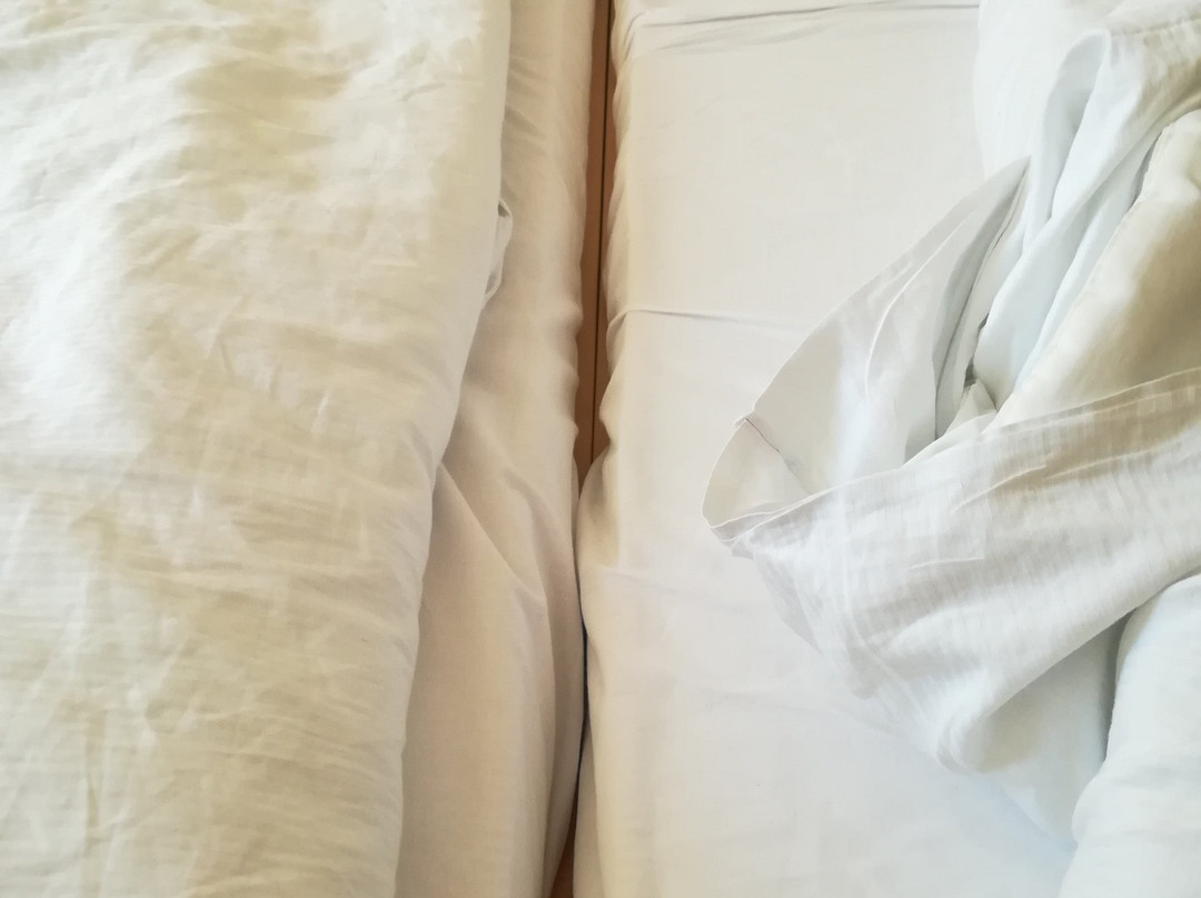 Orea Wellness Hotel Iris主图
