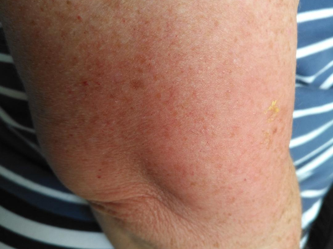 Hôtel Repotel Duplessis - Aéroport主图