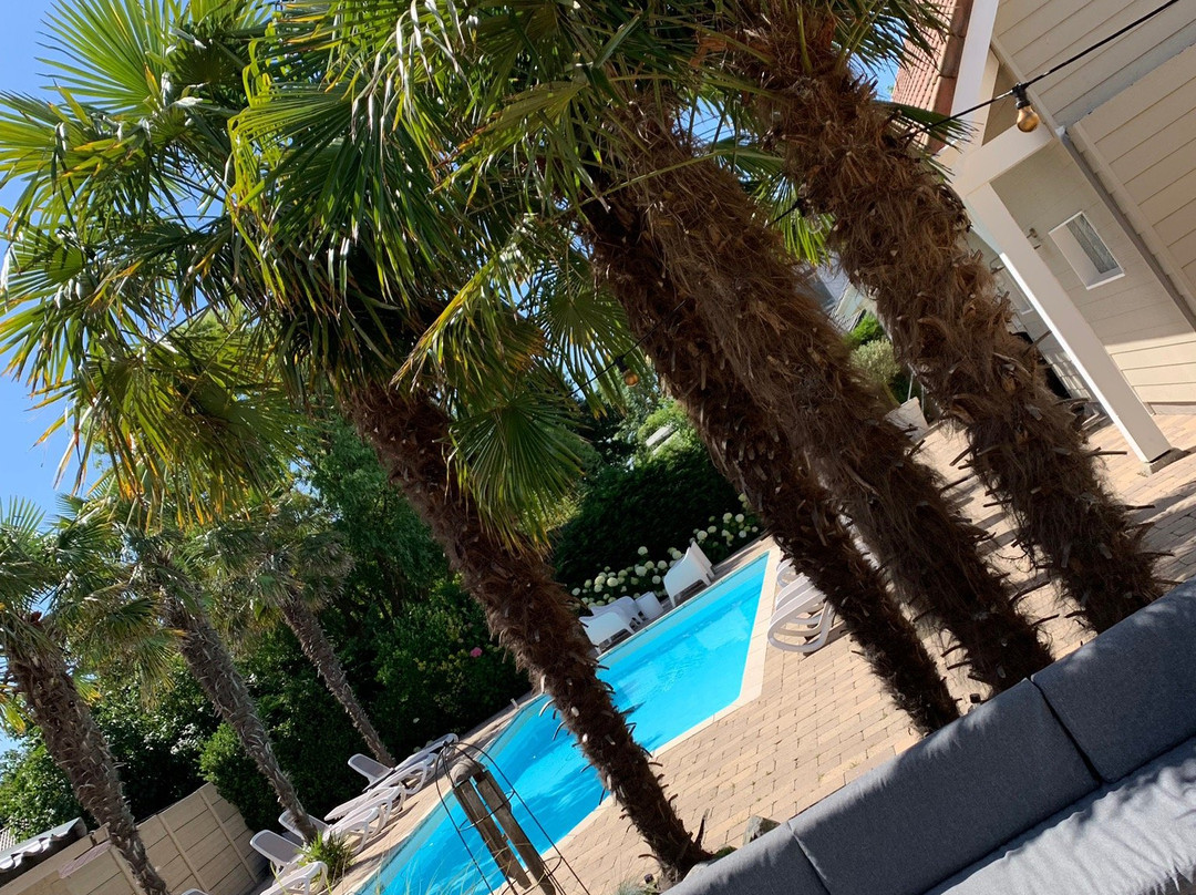 De Heerlijkheid van Noordwelle主图