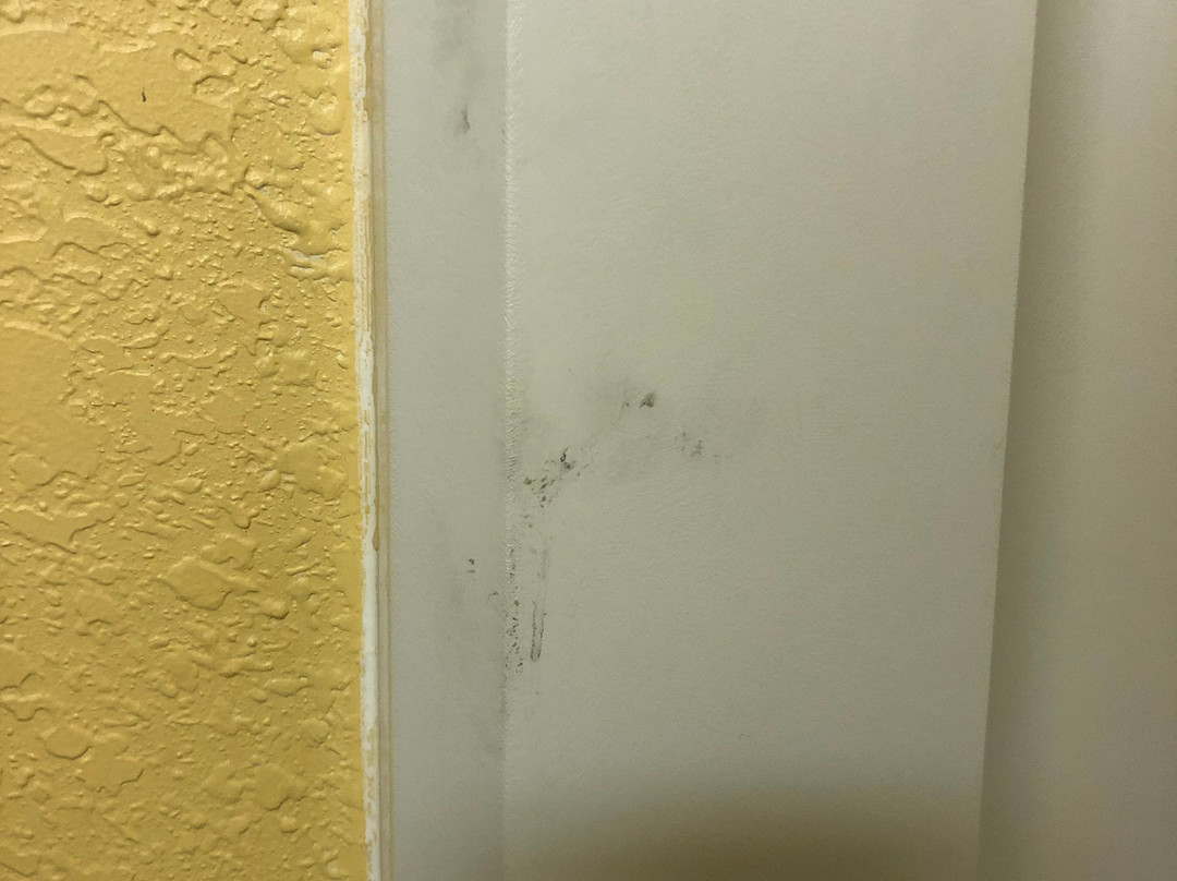 阿普尔顿速8酒店主图