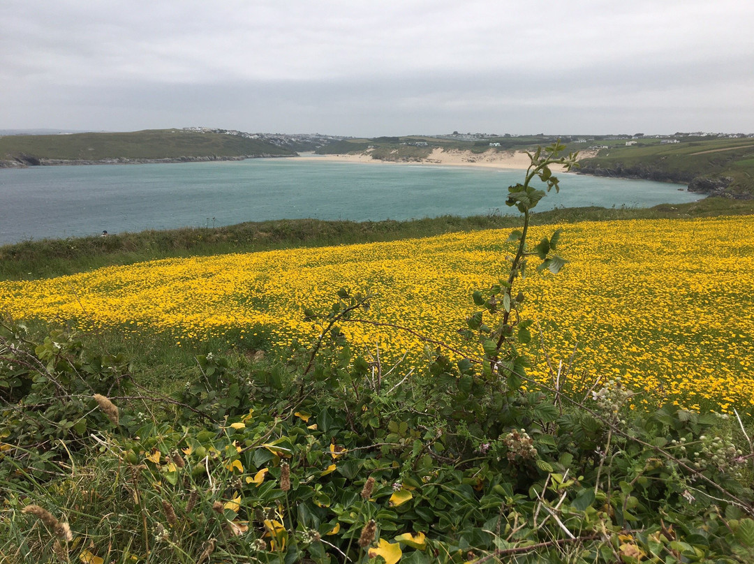 The South West Coast Path-得文郡必去景点