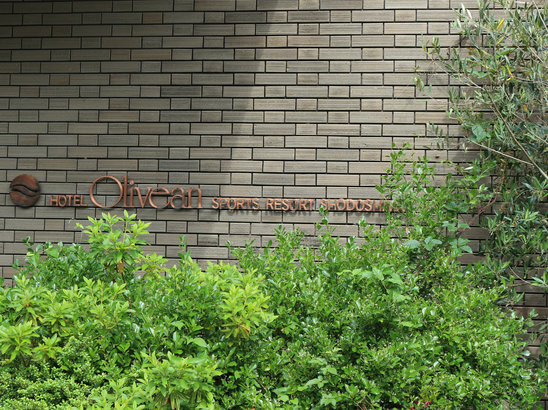 Olivean小豆岛 温泉度假酒店主图