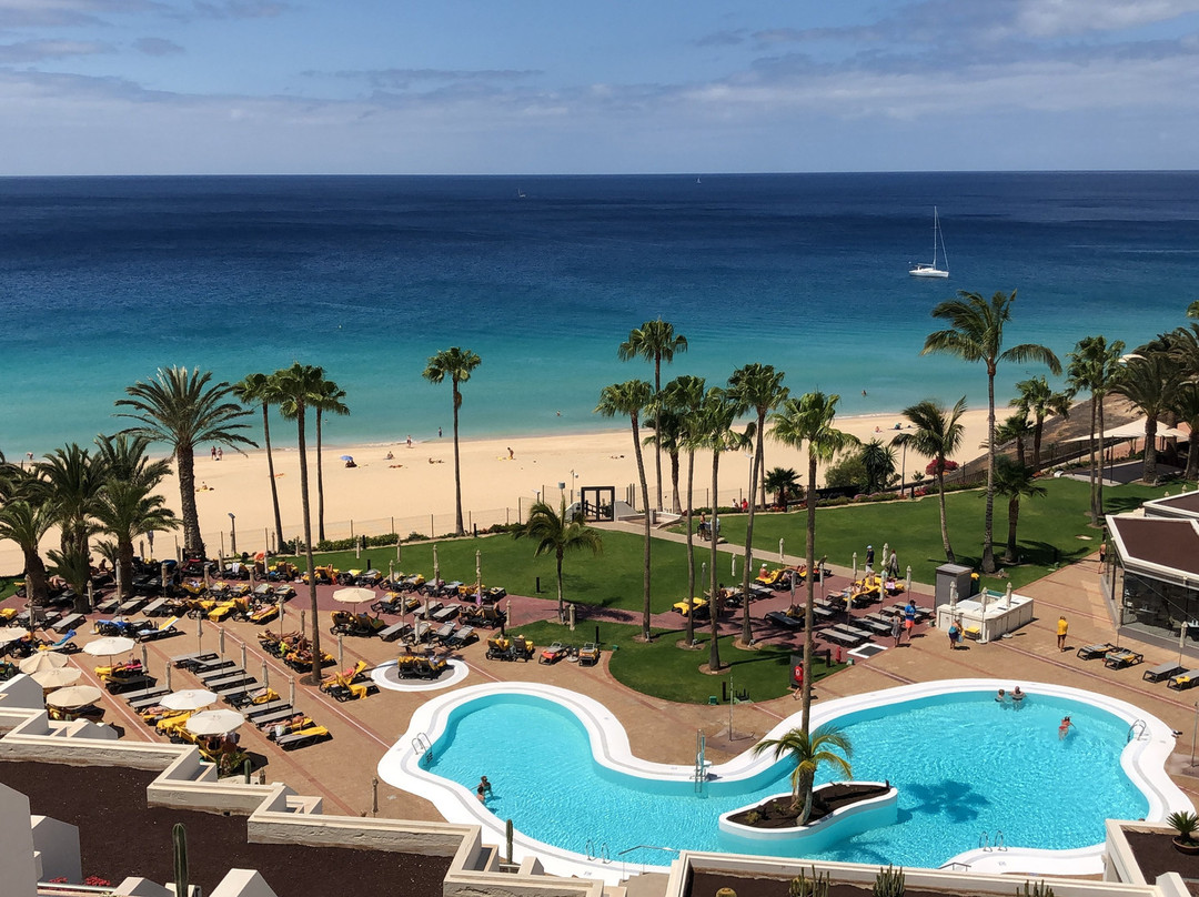 Hotel Riu Calypso主图
