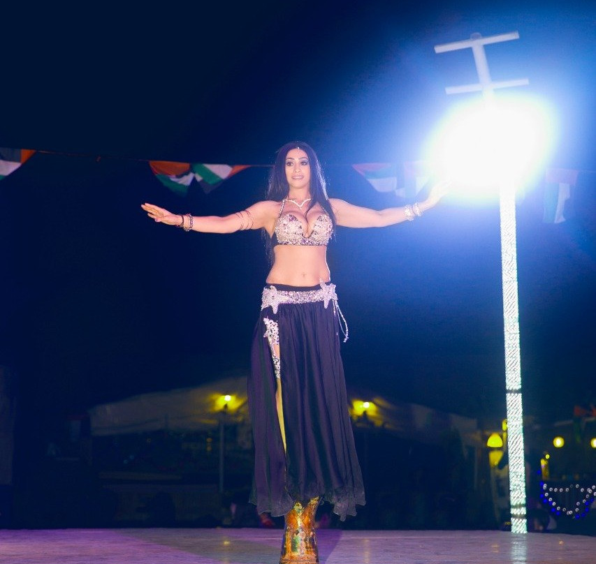 Royal Desert Tours-迪拜必去景点