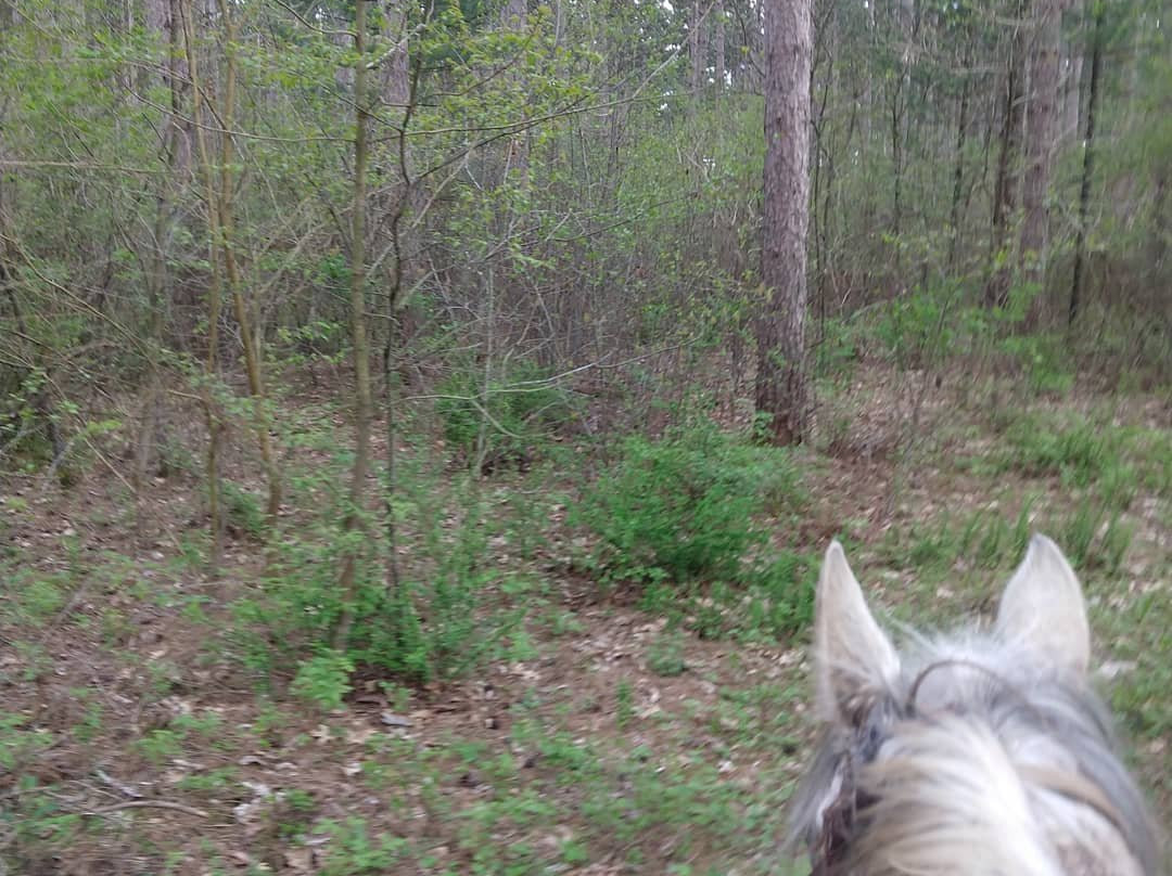 Wild 3L Ranch-Eagle必去景点