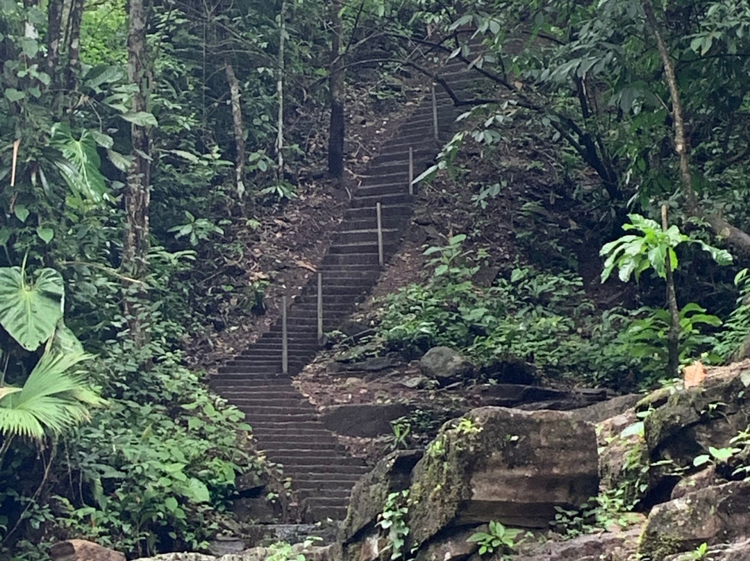 El Valle Mountain Tours景点图片