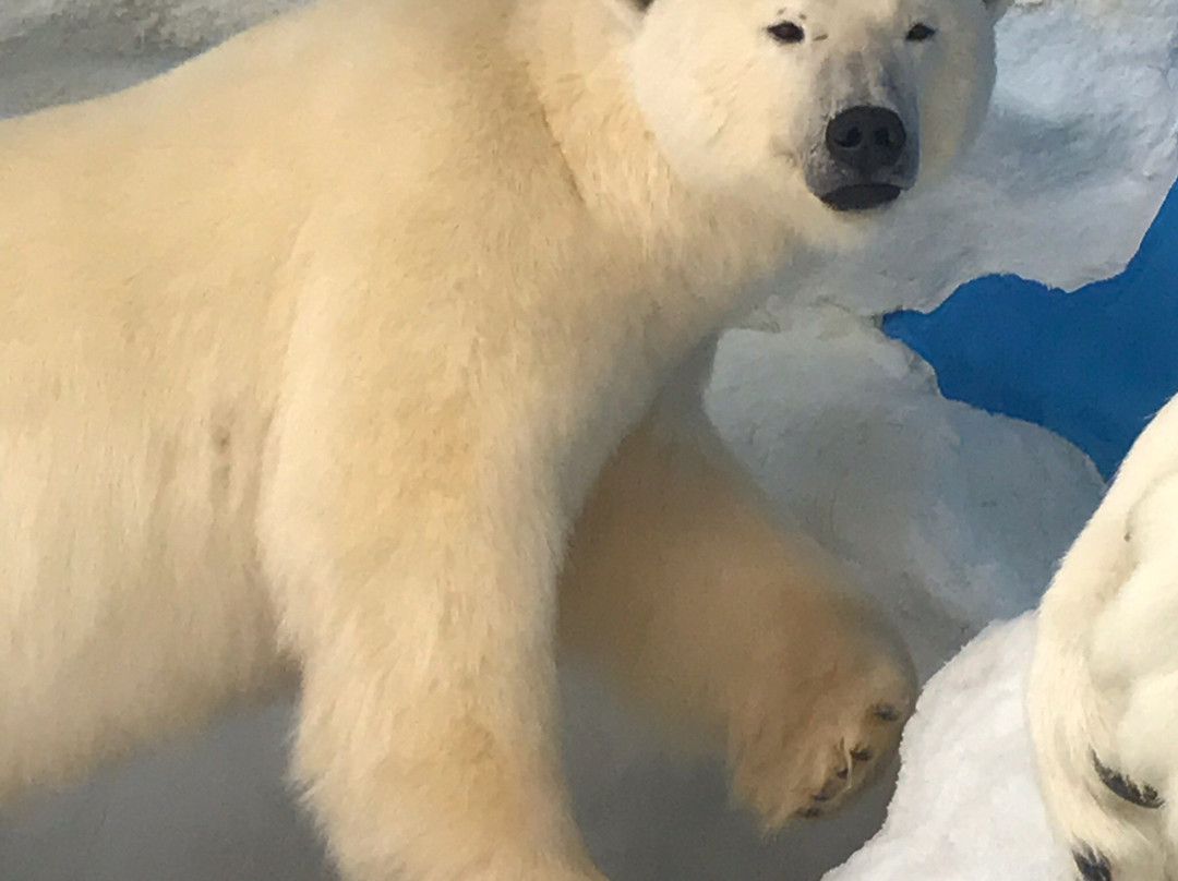 Harber Wildlife Museum-Sherman必去景点