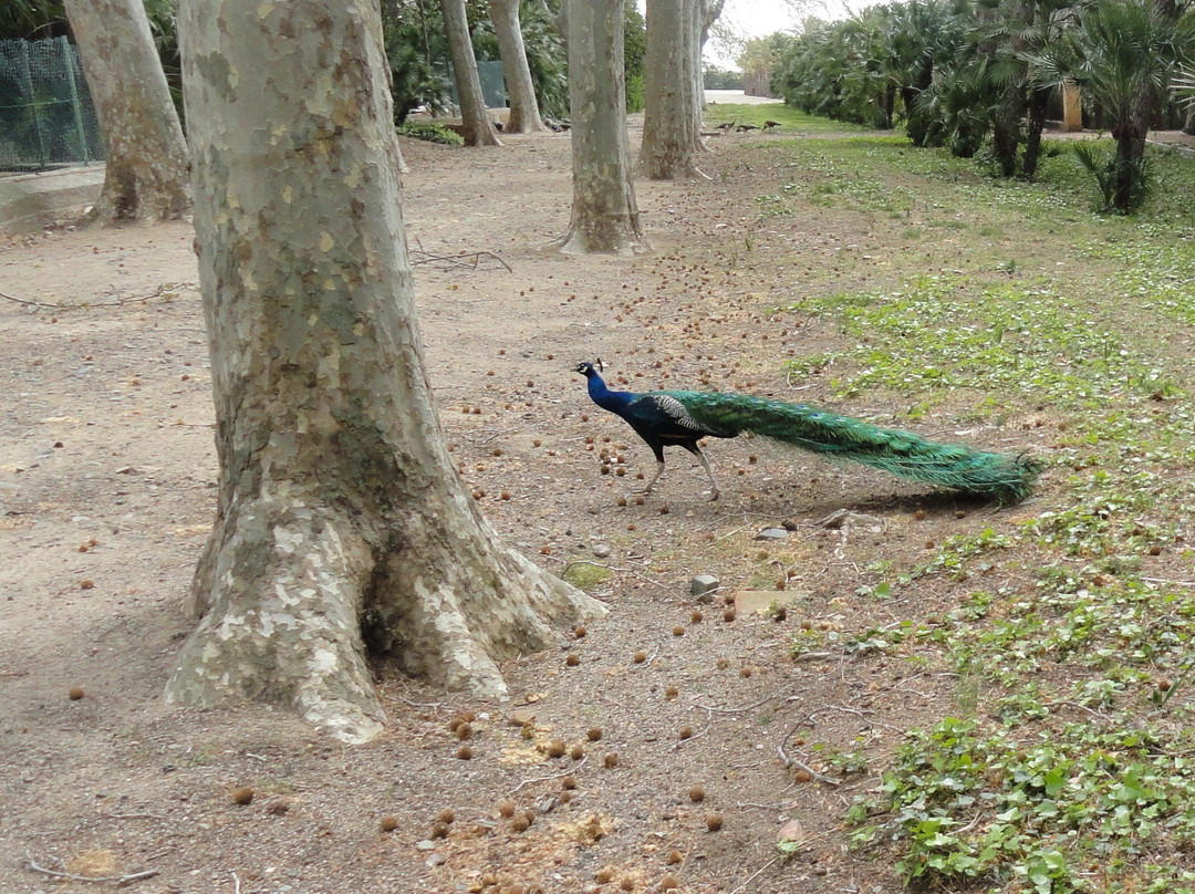 Parc Samà-坎布里尔斯必去景点