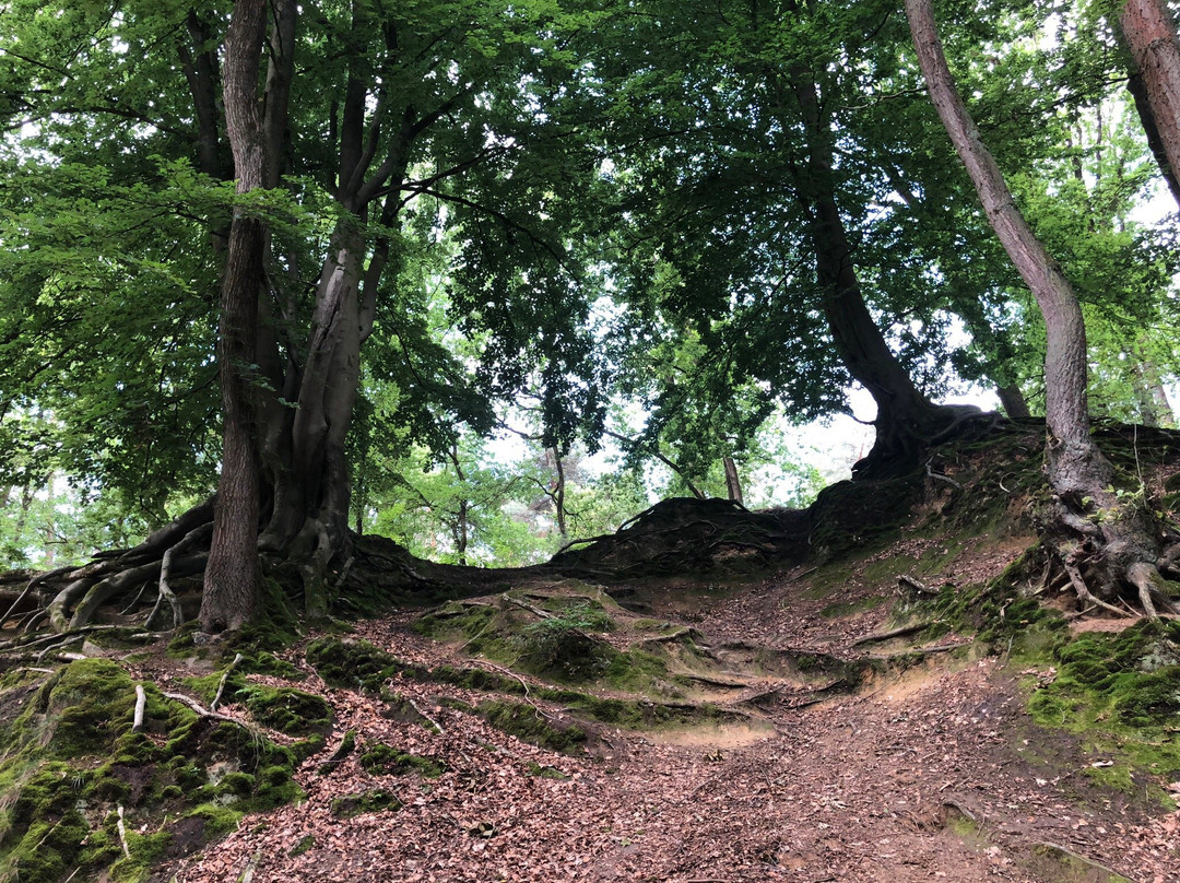Leumolen of St. Ursulamolen-Nunhem必去景点