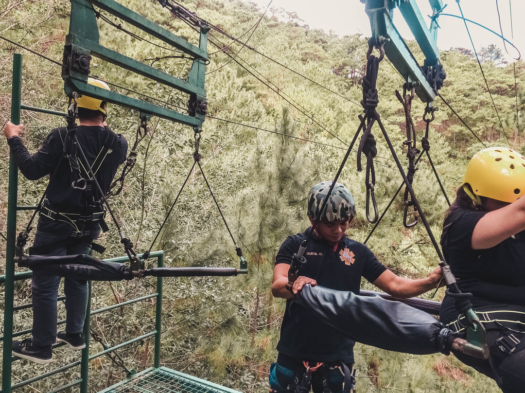 Tree Top Adventure-碧瑶必去景点