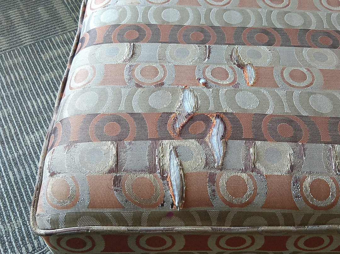 Best Western Edinburgh / Columbus主图