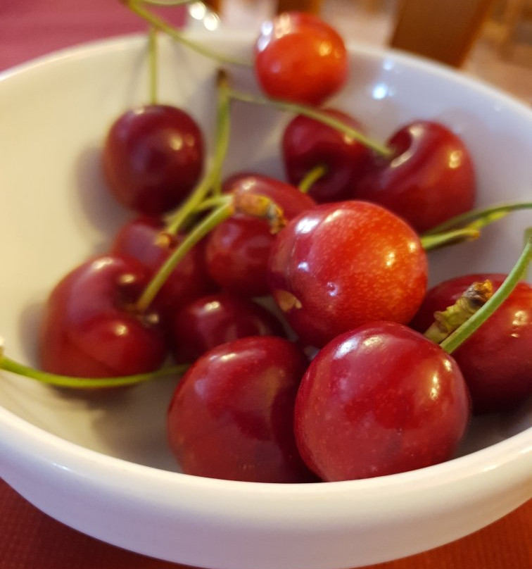 Hotel Magina Plaza主图