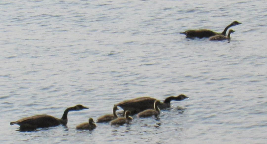 Econo Lodge On the Bay主图