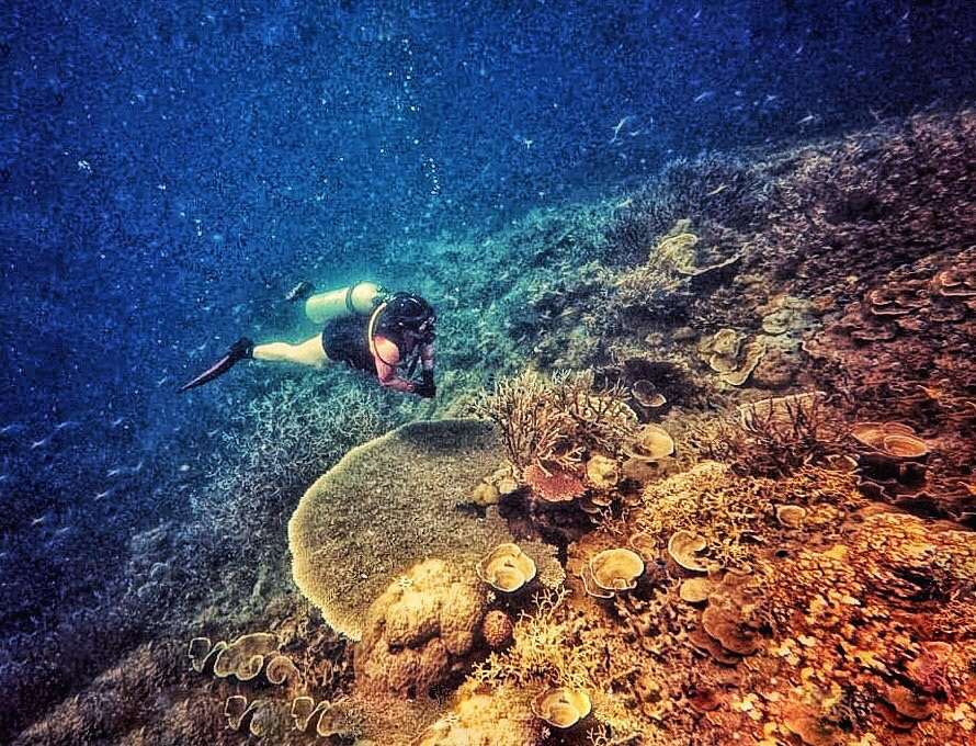 Lembata Dive Operator景点图片