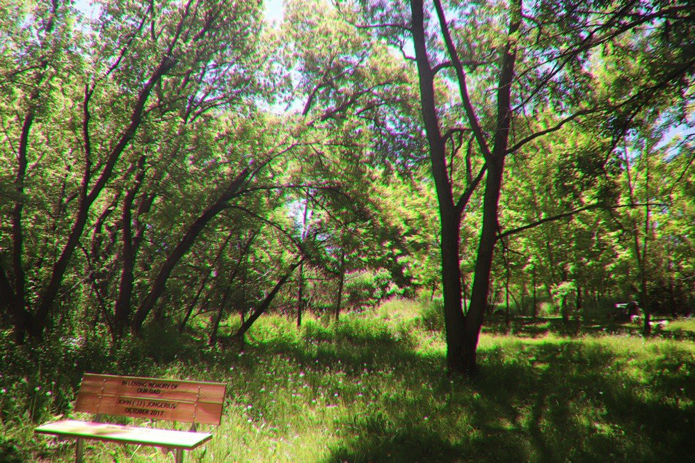 Health Valley Trail景点图片