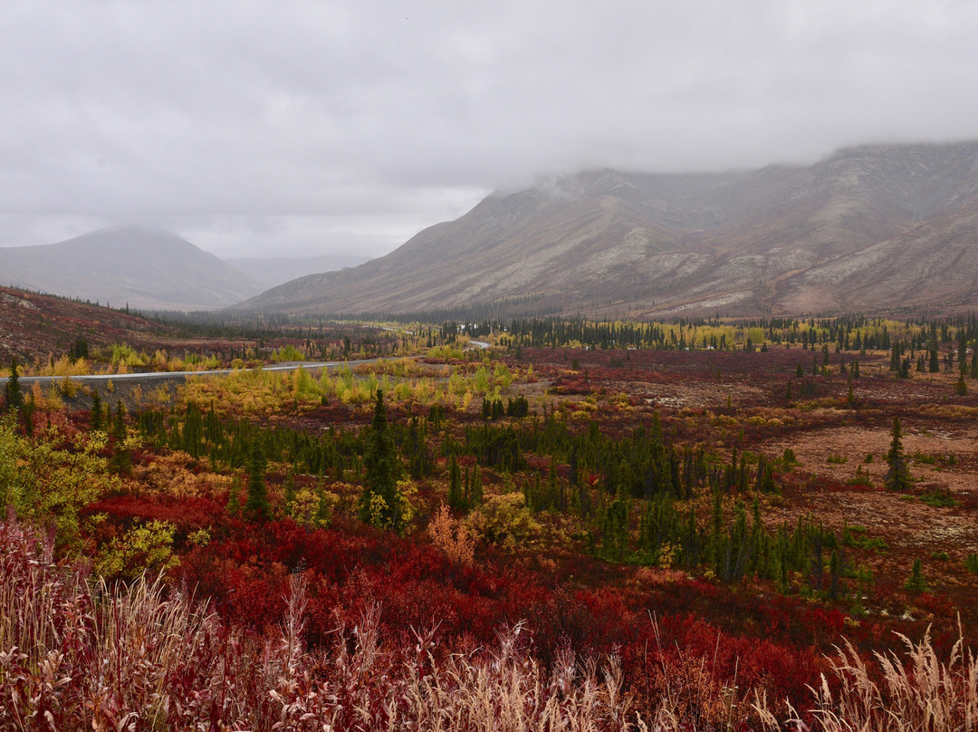 Dempster Highway景点图片