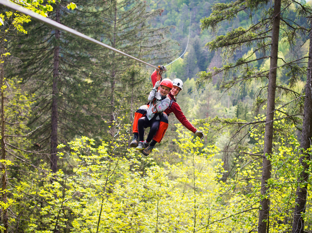 Zipline Dolinka景点图片