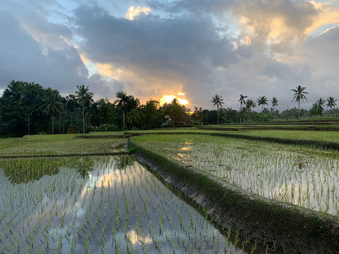 Plantage de Grote Tuin