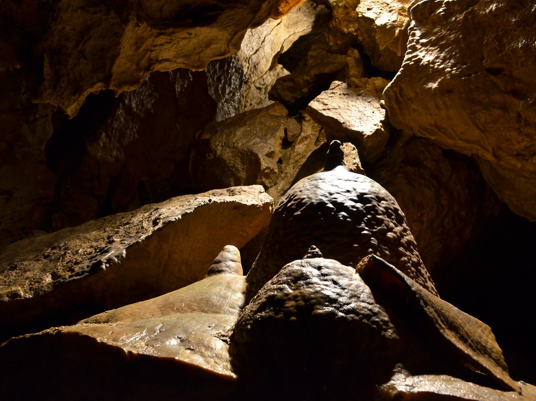 Bozkovske Dolomitove Cave景点图片