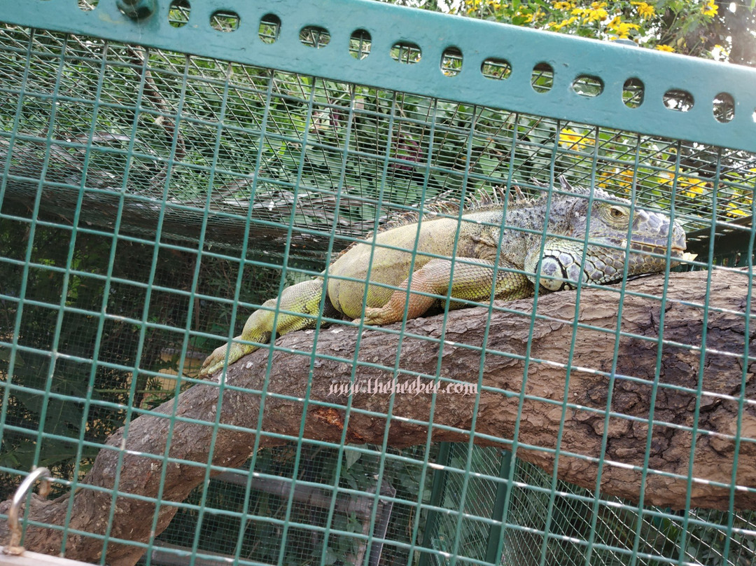 Prani, The Pet Sanctuary-班加罗尔必去景点