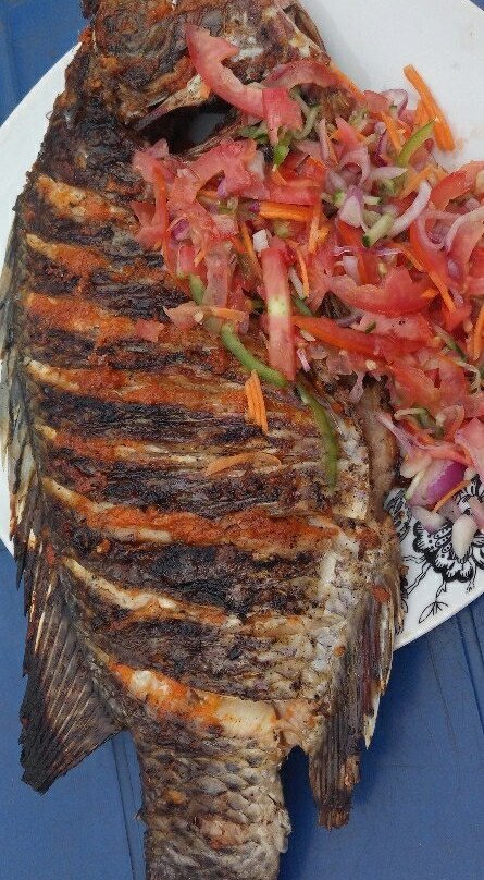 Don Suite Hotel主图