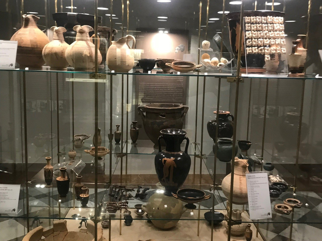 Museo Archeologico Palazzo Panitteri景点图片