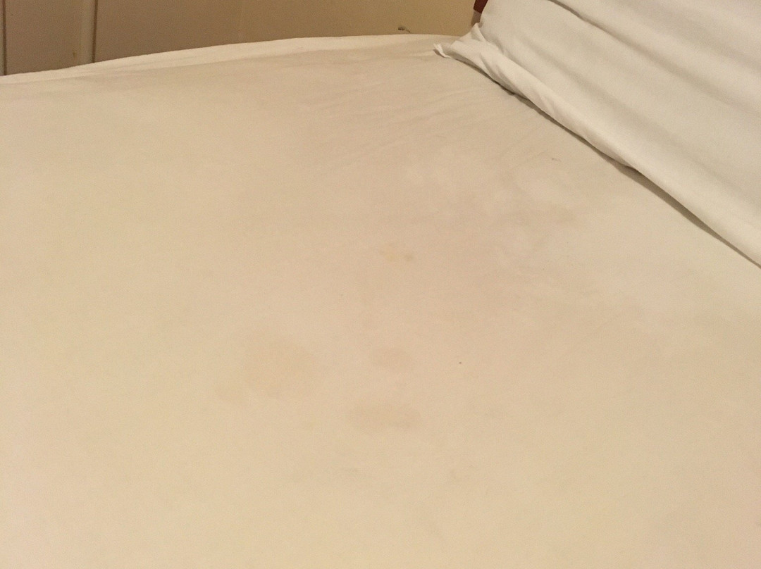 Sunflower Motel主图