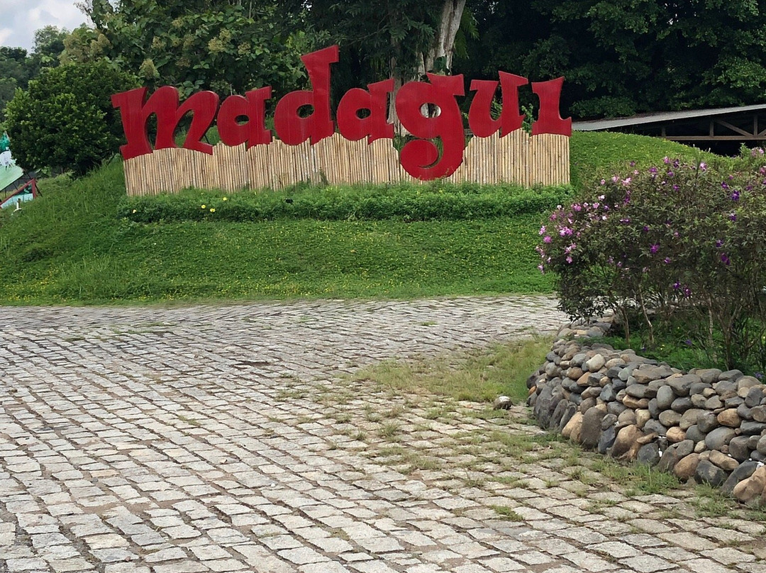 Madagui Forest City-Madagui Town必去景点