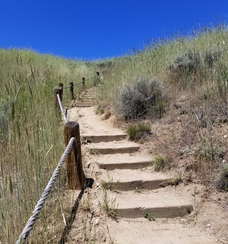 Ridge to River Trail System-博伊西必去景点